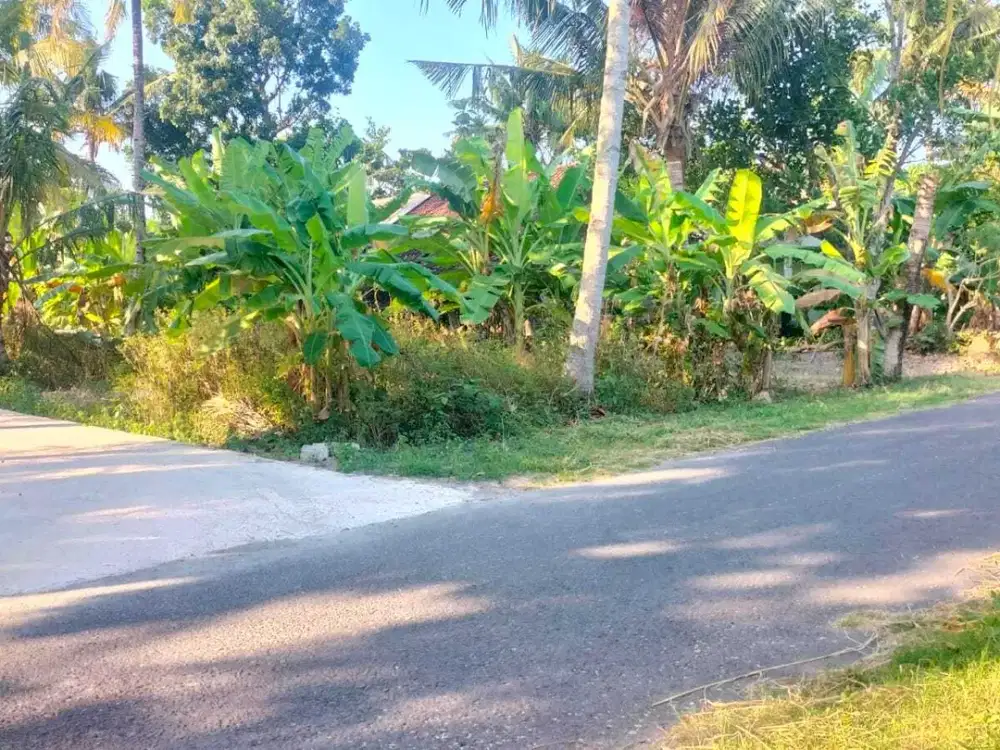 DIJUAL TANAH PEKARANGAN VIEW SAWAH & GUNUNG DEKAT JL SAMAS.JK13302