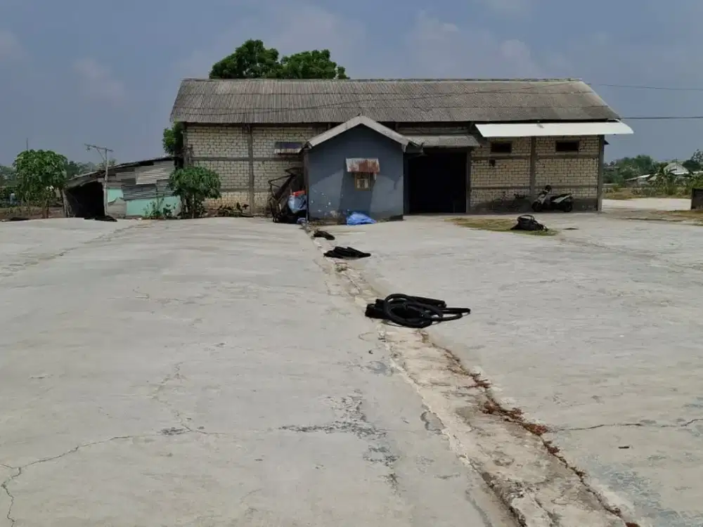 Dijual Cepat Selep Aktif Tanah Luas di Menonggo Sukodadi Lamongan