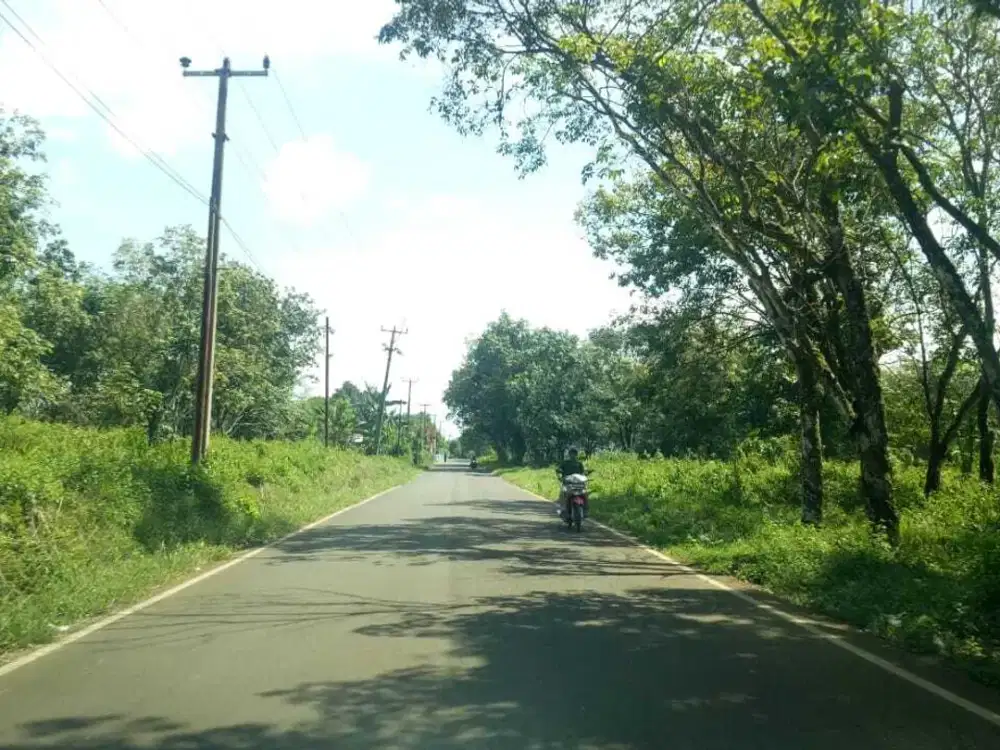 Legalitas SHM Kavling Strategis, 5 Menit Calon Pintu Tol Serpong