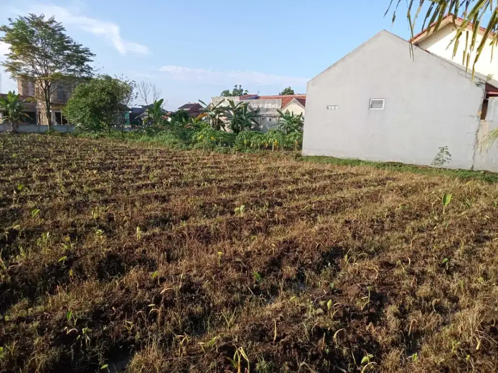 Investasi Tanah di Bogor Barat – Kavling Legalitas SHM, Lingkungan Nya