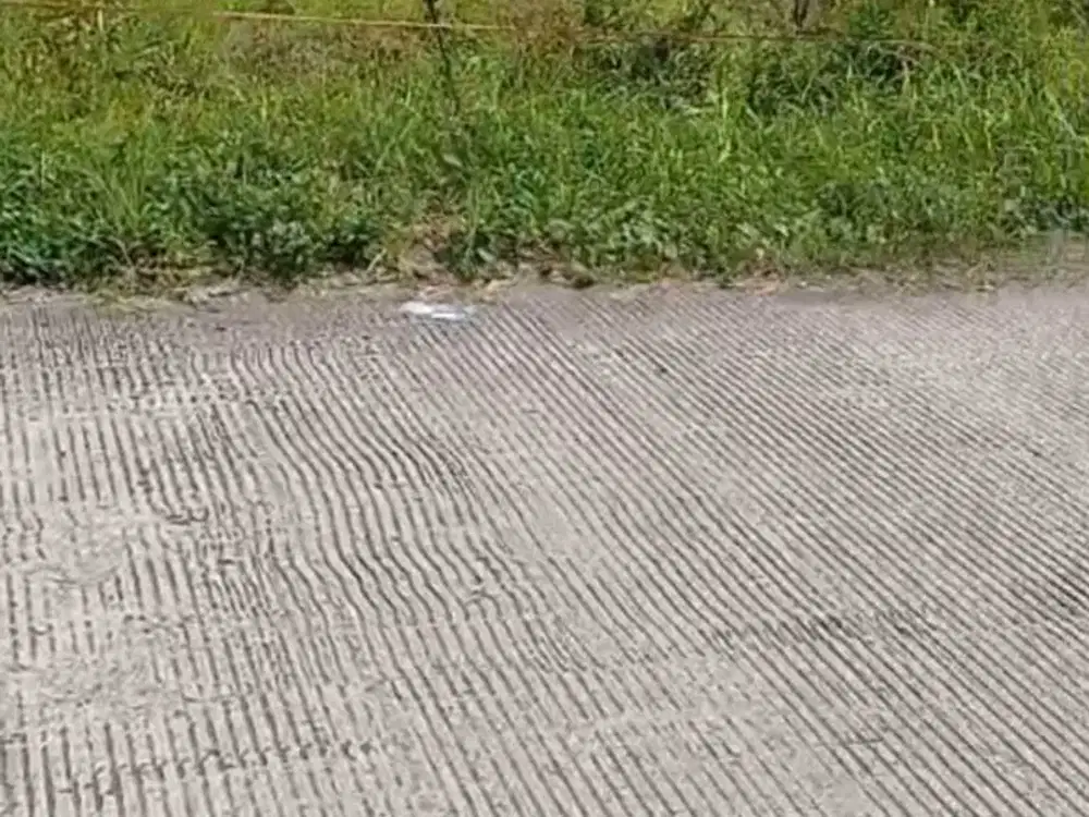 Lahan 4500m² SHM Klaten Zona Industri – Harga BU! Bisa