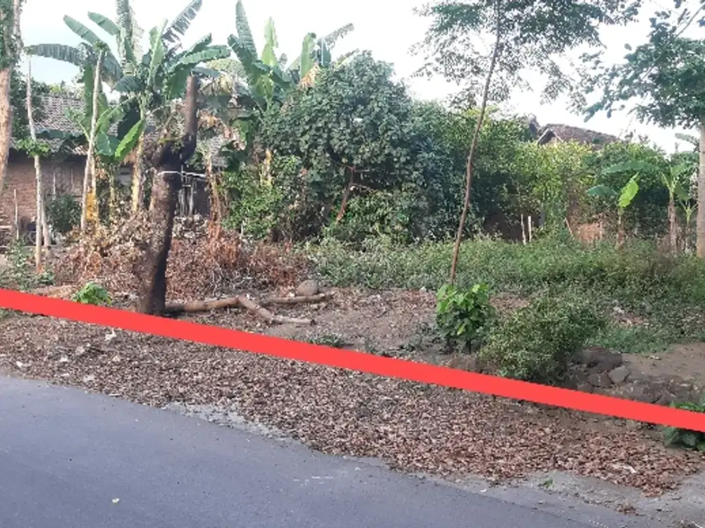 dijual tanah di kalasan PURWOMARTANI Timur ringin Purwomartani