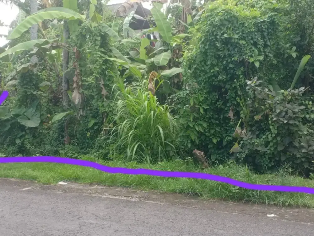 DIJUAL TANAH 2 ARE DI KABA KABA DEKAT MUNGGU MD