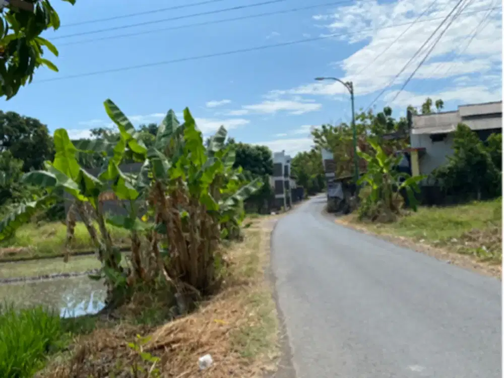 jual tanah tembokrejo selatan ikip pasuruan