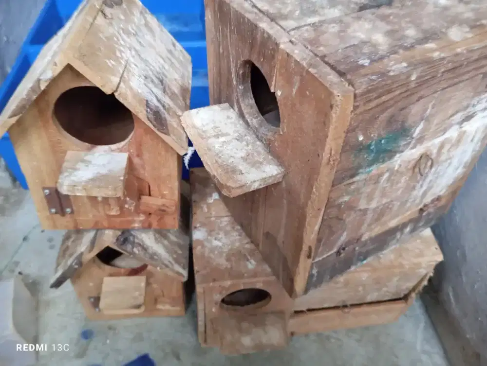 Pok kotak burung