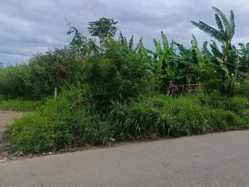 Tanah Siap Bangun Gudang Pabrik di dekat Tol Margaasih Bandung