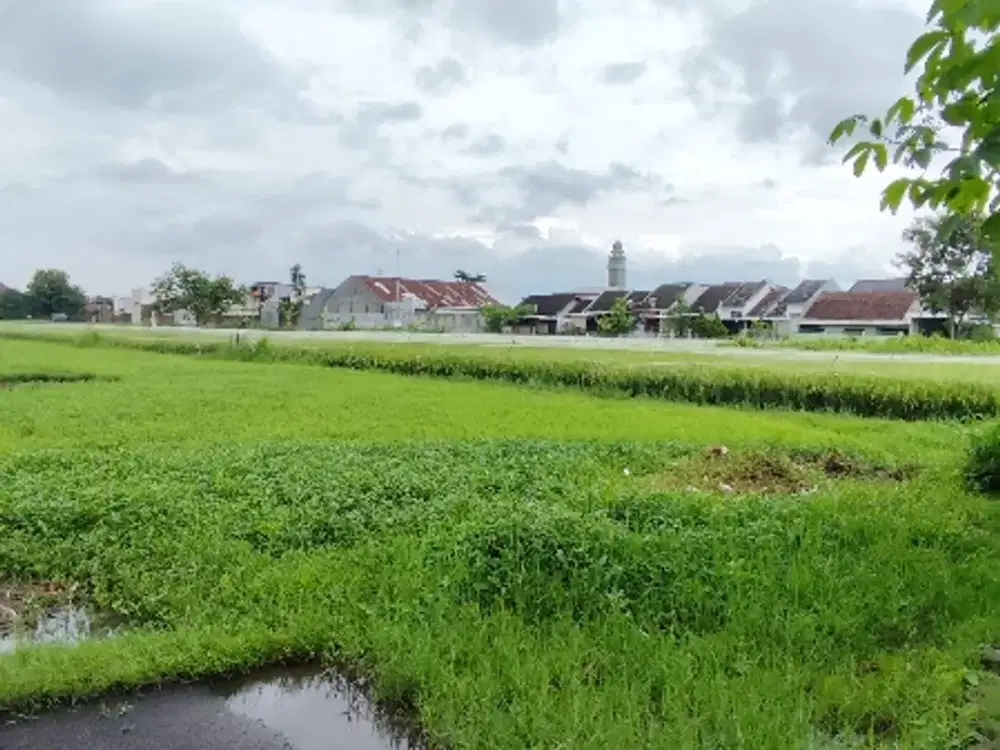 Tanah Murah Untuk Cluster Perumahan Di Sulfat Blimbing Kota Malang