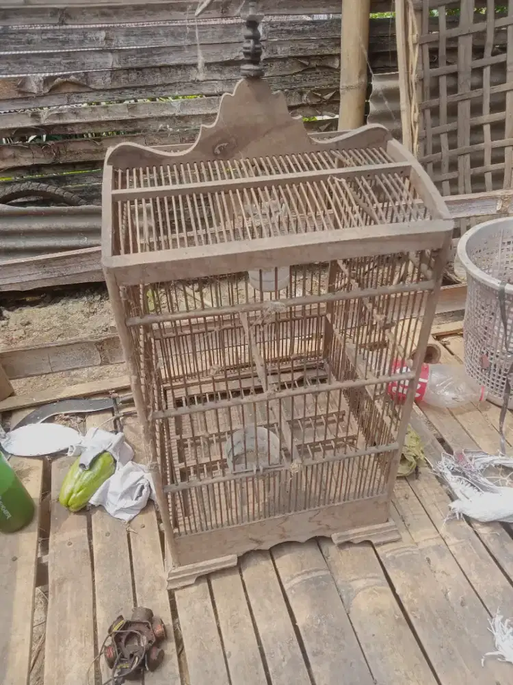 kandang burung kayu