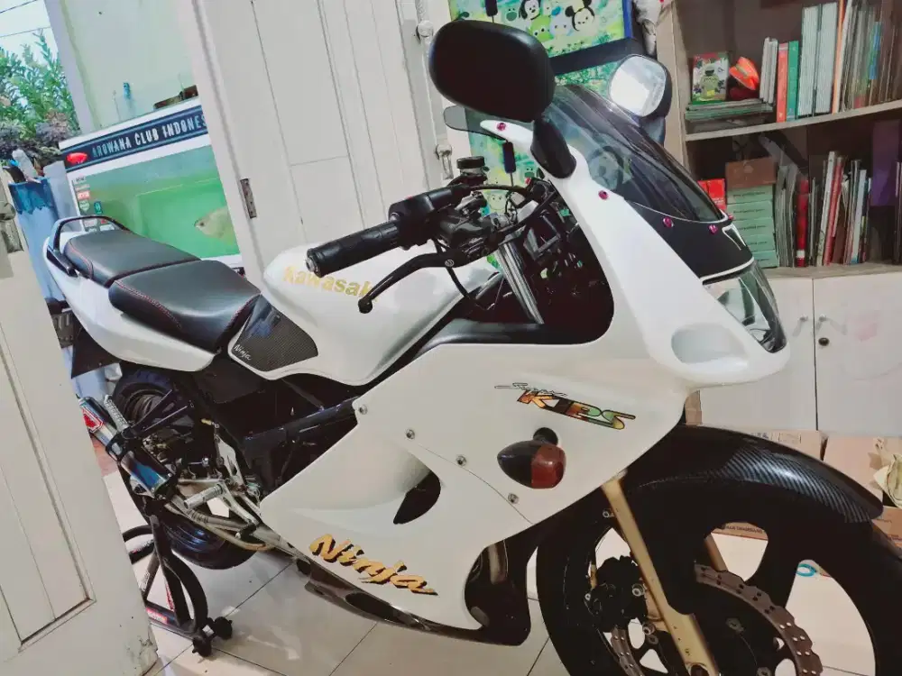 Ninja Rr Old 2008
