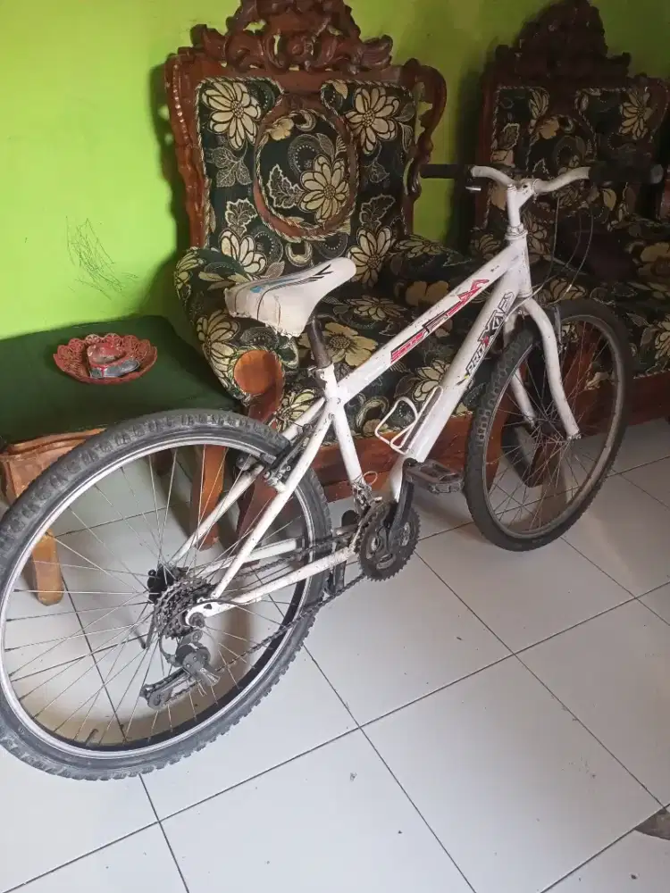 Sepeda dewasa r26