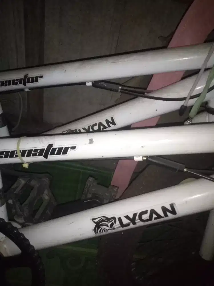 BMX Dijual cepat 2 lycan Senator