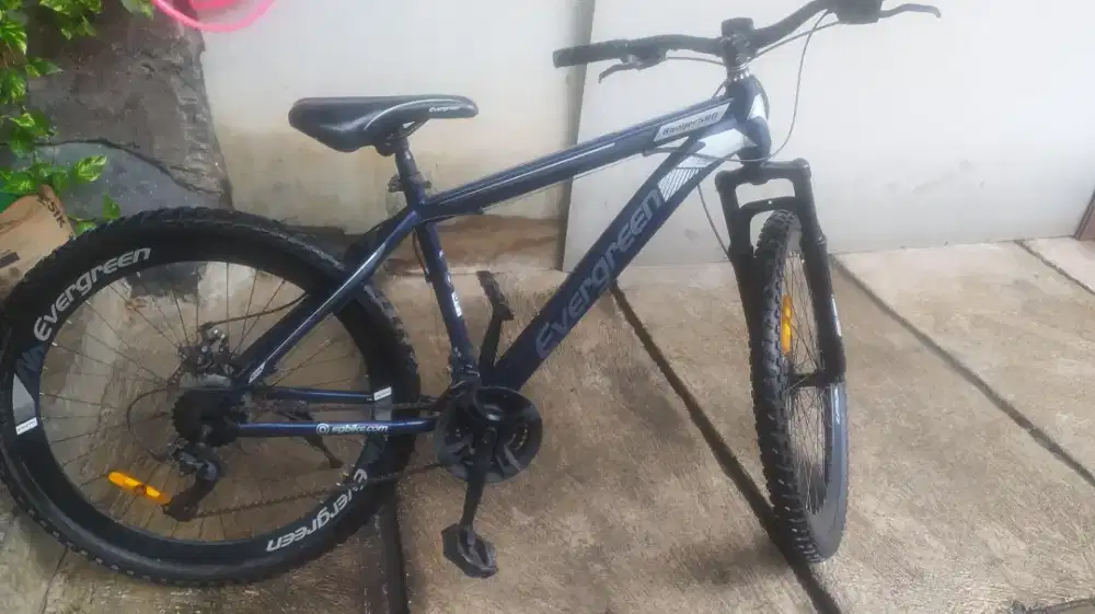 MTB Evegreen Ranger 580