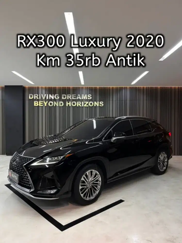 LEXUS RX300T LUXURY AT 2019