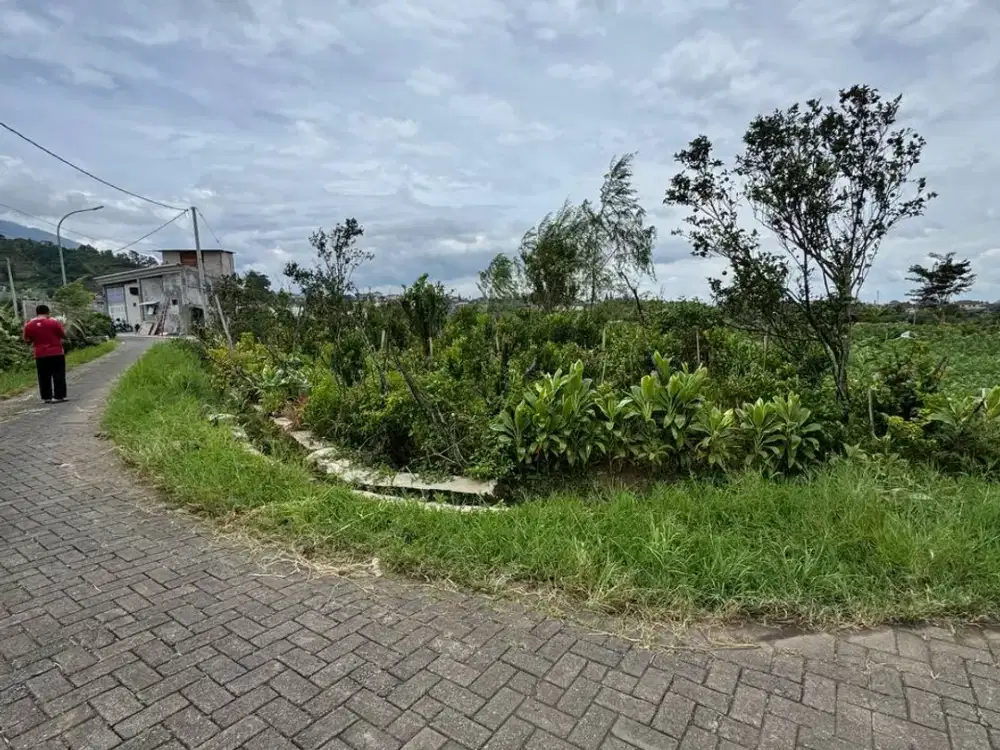 TANAH PEKARANGAN KOTA BATU