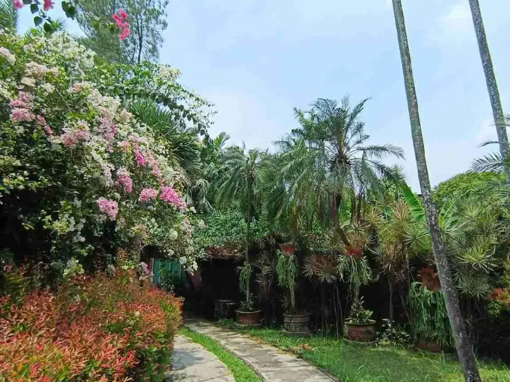 Rumah Asri di Jl Pisok Bintaro Sek 5 Tangerang Selatan