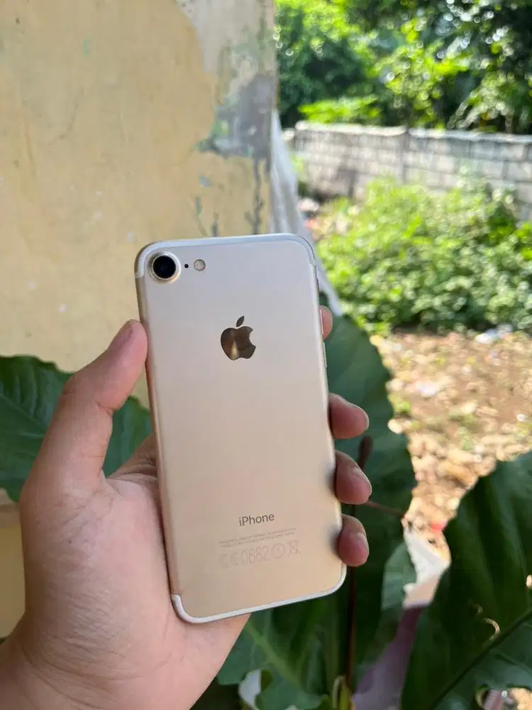 Iphone 7/256gb ex ibox hp casan
