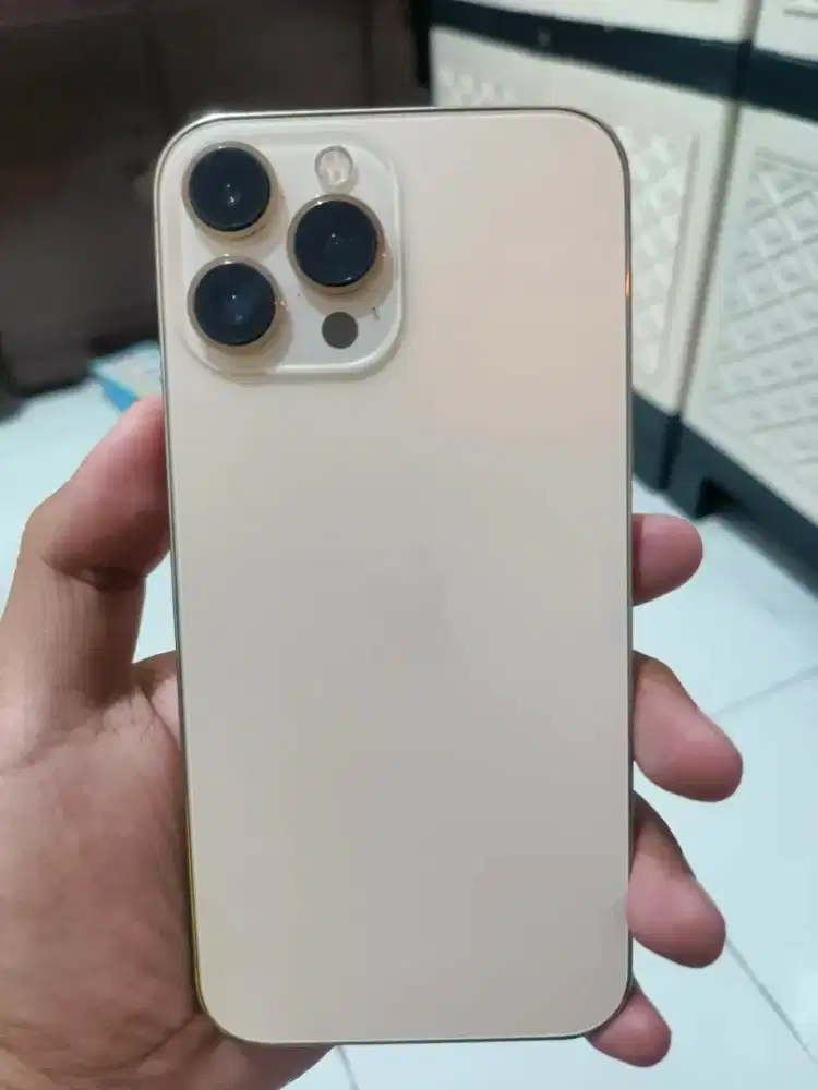 Iphone 13 promax 512 gb ex inter