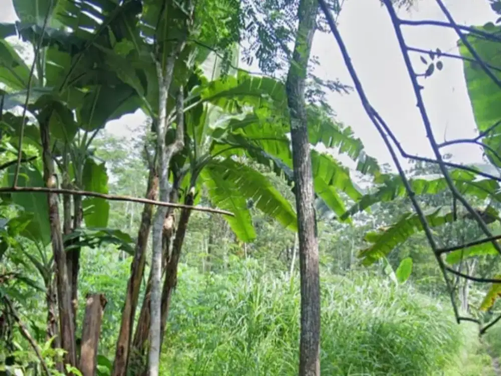 Dijual Tanah Perumahan Murah Meriah di Jl. Soemitro Salatiga