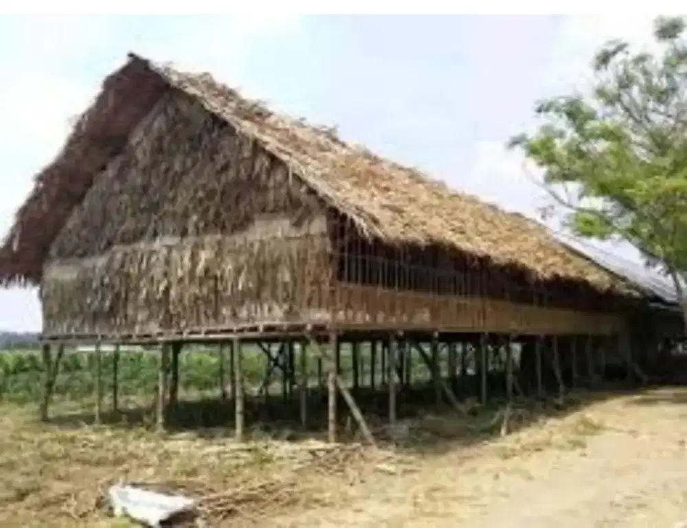 DIJUAL !! KANDANG AYAM & TAMBAK UDANG