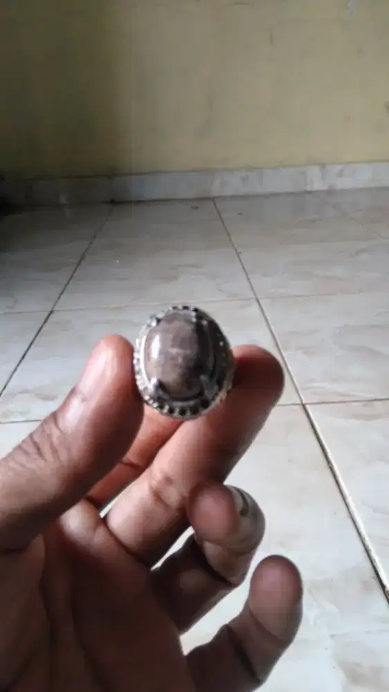 Fosil galih kedebog pisang