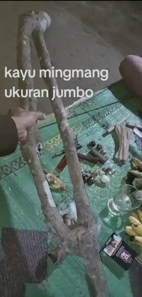 Batang pohon mimang