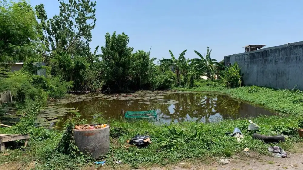 Dijual Tanah Siap Bangun Medokan Sawah Row Jalan Lebar Lokasi Strategi