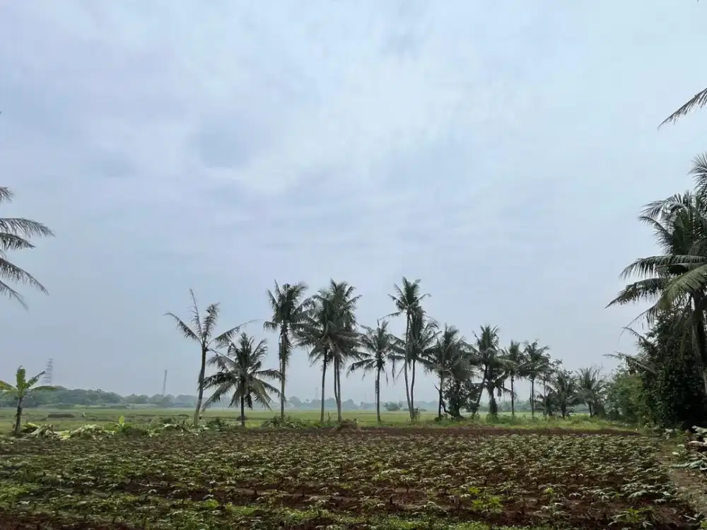Tanah kavling Sindang Jaya,30X cicilan tanpa bunga
