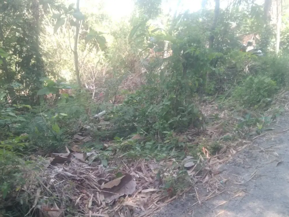 Tanah Pekarangan Bagus Murah di Kasihan Bantul #Kode : TP 144
