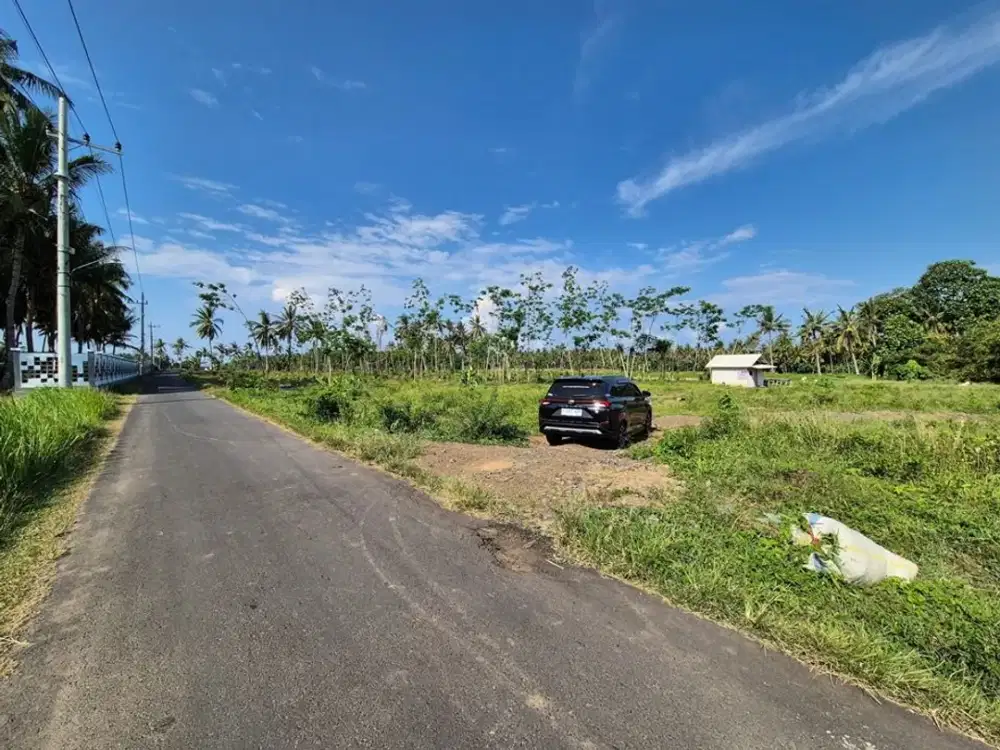Dijual Tanah Perumahan Luas 1 Ha dengan Perijinannya Akses Jl. Aspal di Pondoknongko - Banyuwangi