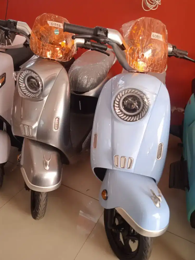Sepeda Listrik U-winfly 2025 (T65L)