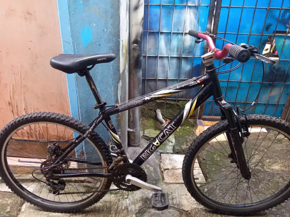 Mtb big cat usa 26