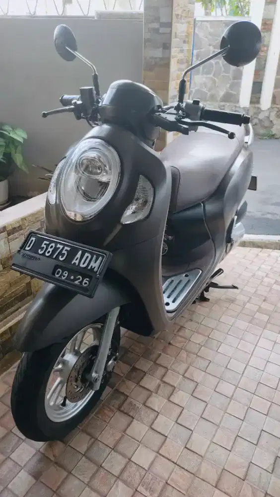 Scoopy keyles orisnil thn 2021 surat2 lengkap pajak hidup panjang