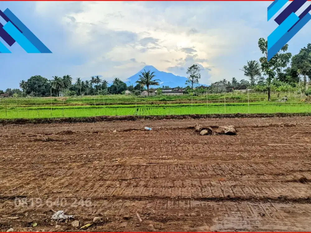 Nyaman Untuk Hunia Tanah Mepet Sawah Di Palagan