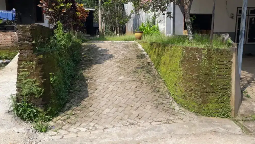 Tanah perkampungan