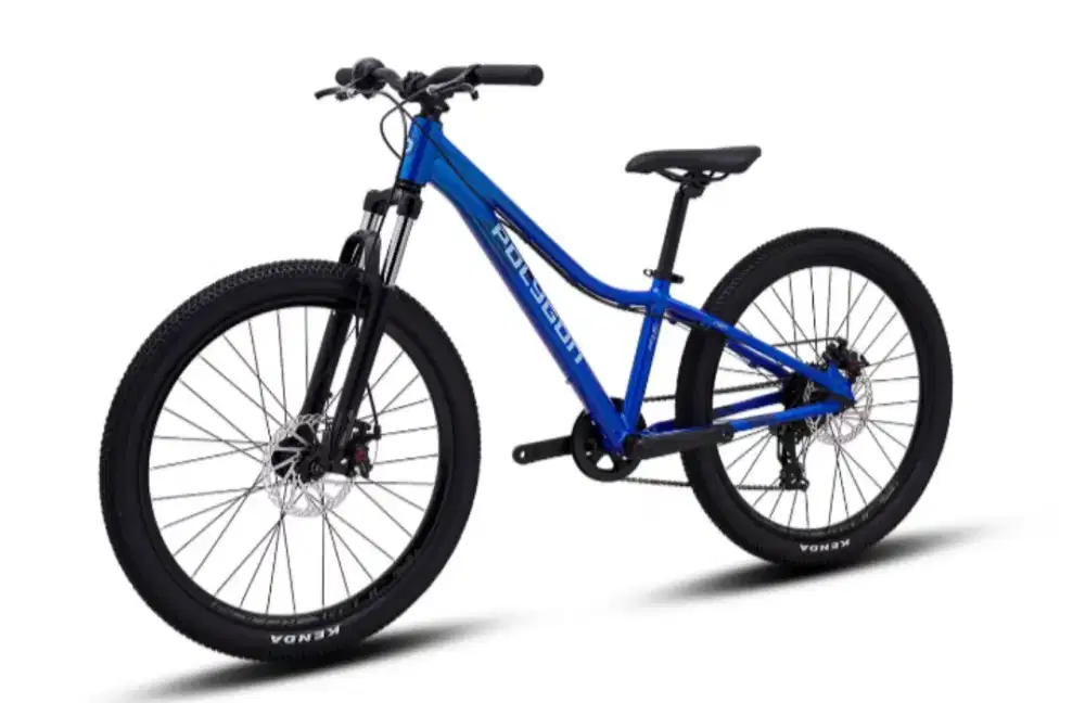 Polygon Sepeda MTB junior Relic 24