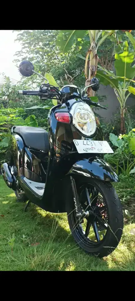 Scopy donat 2019