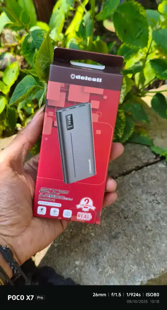 Powerbank DelCell