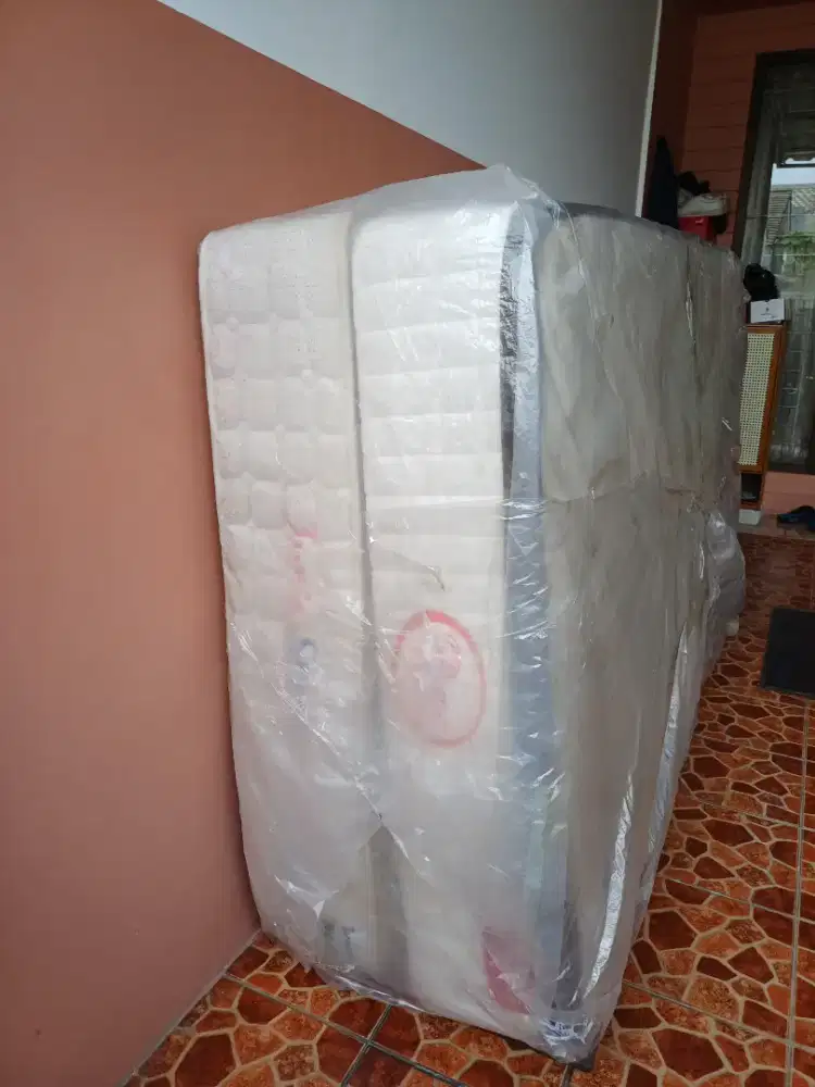 2pcs Spring bed Roman dan Junior Spine