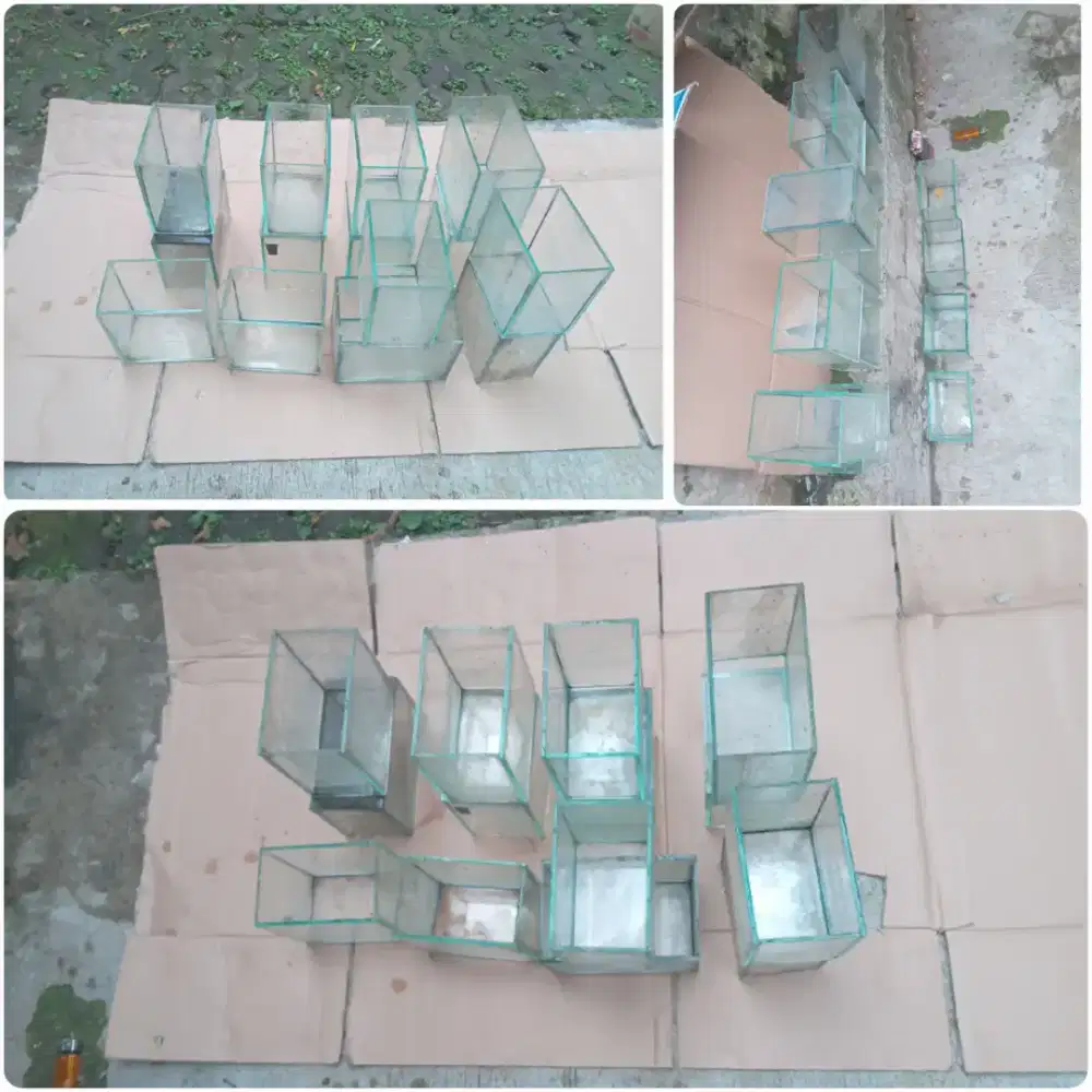 Murah Pajang mini Aquarium