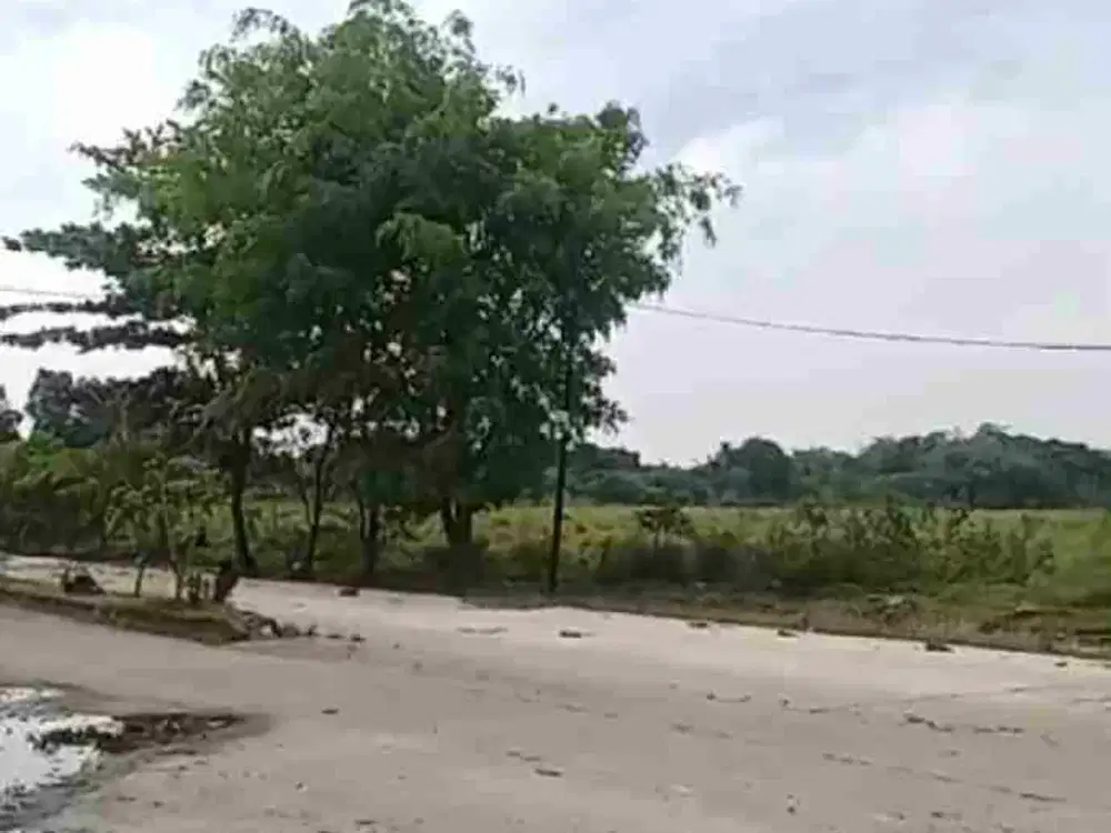 Tanah Dijual Zona kawasan Industri ( DW)