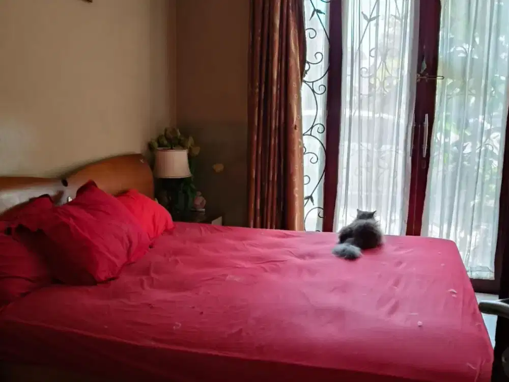 HOT SALE Rumah Puri Bintaro dengan Harga Terbaik