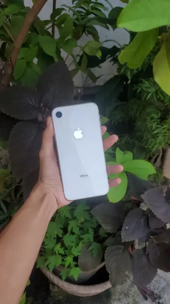 Iphone xr 64 inter siap pakai