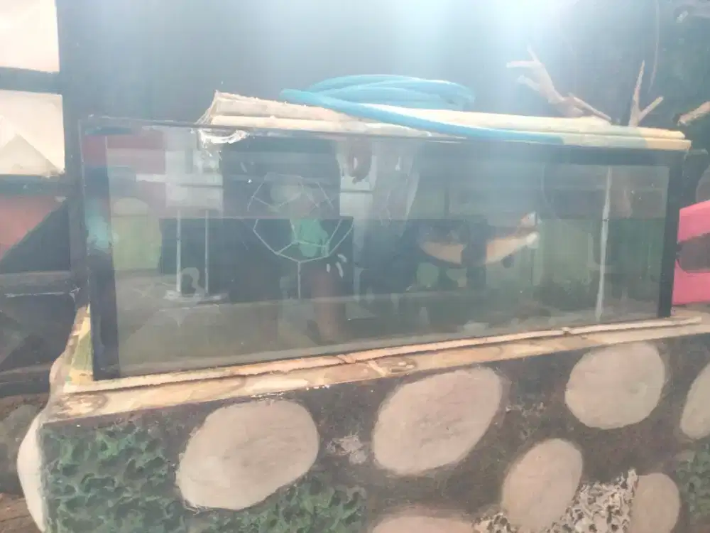 Aquarium UK -+200M
