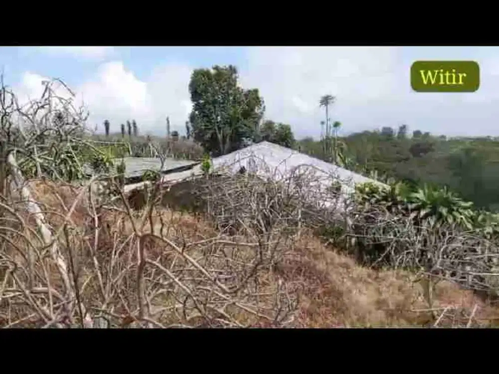 Tanah Kebun Apel Murah di Nongkojajar