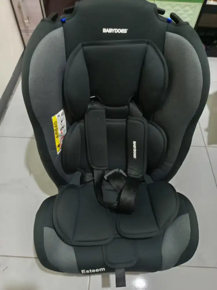 Esteem babydoes car seat