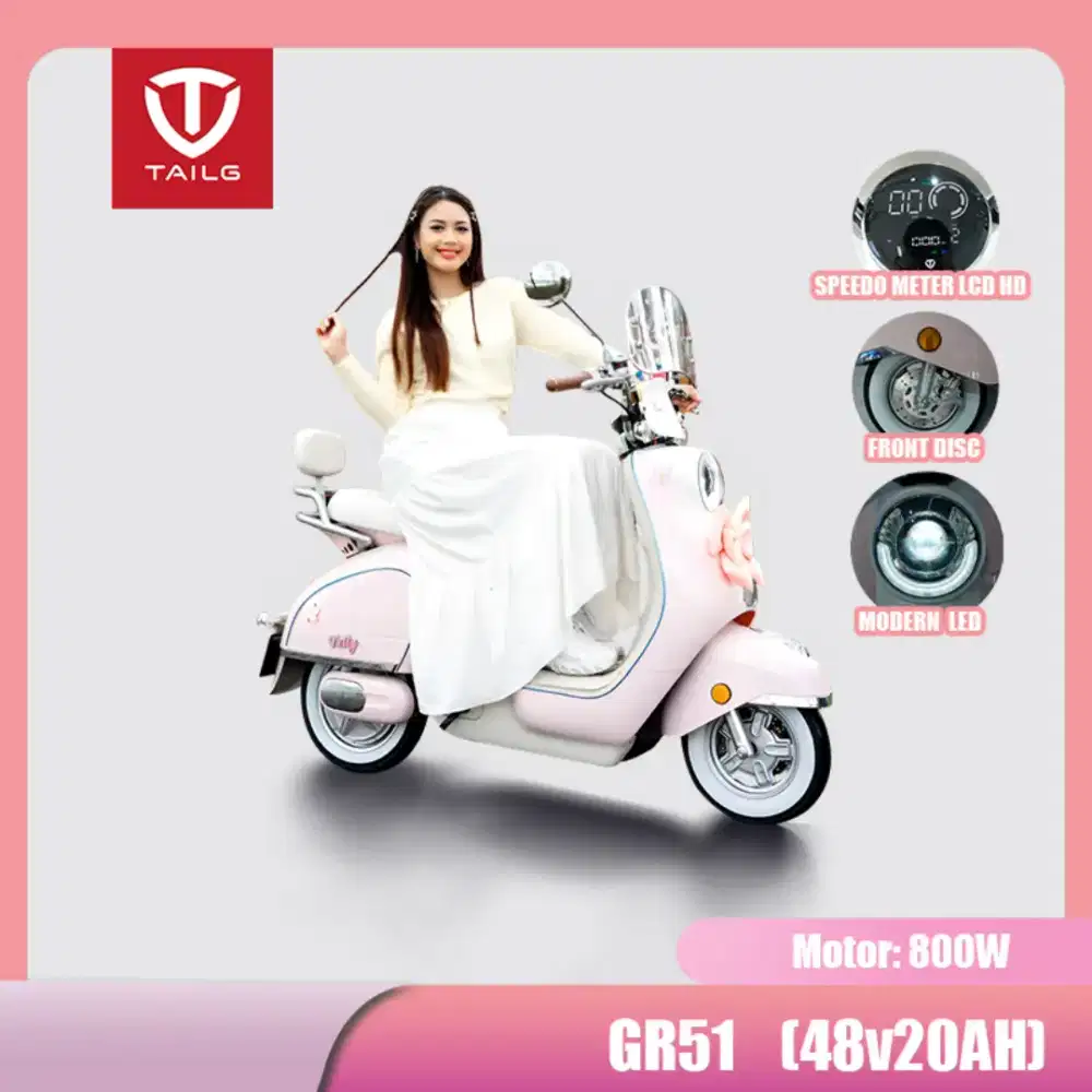 Sepeda Listrik Tailg GR51 800W