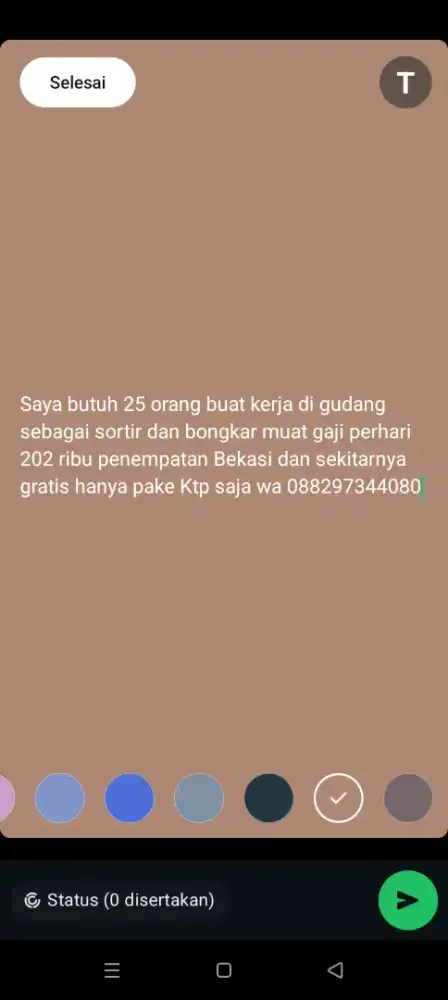 Butuh 20 orang cowo sortir gudang