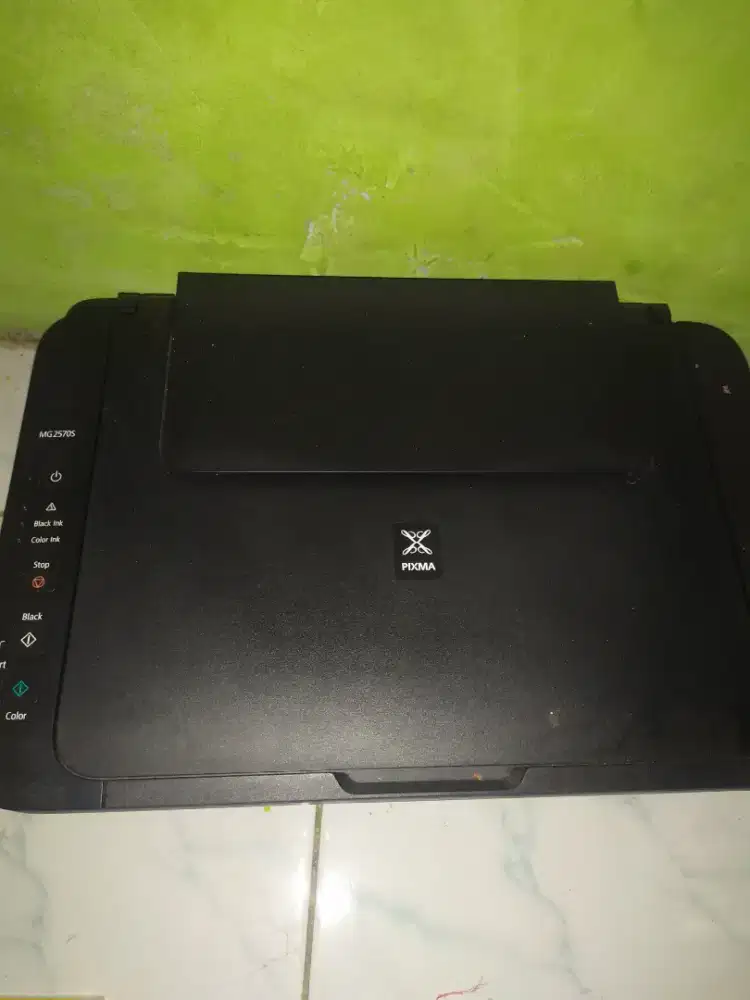 Printer Pixma mg2570s