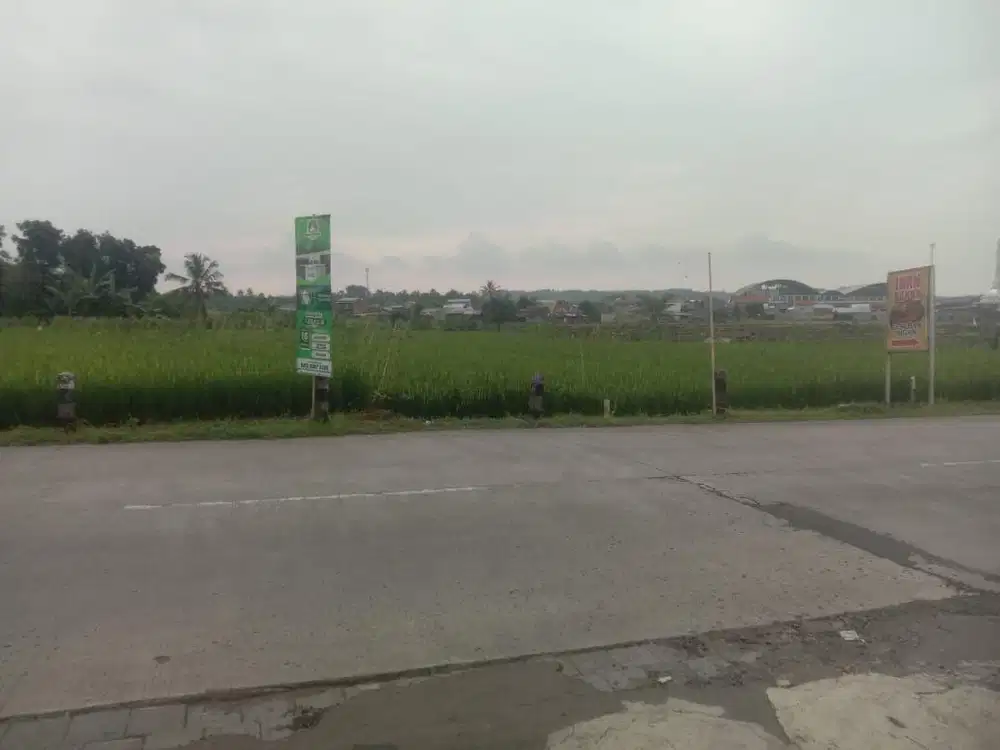 Di jual Tanah uk 12x90 kabupaten Pemalang