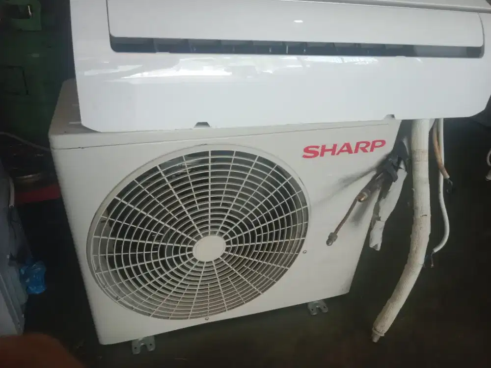 AC Sharp 1/2 pk